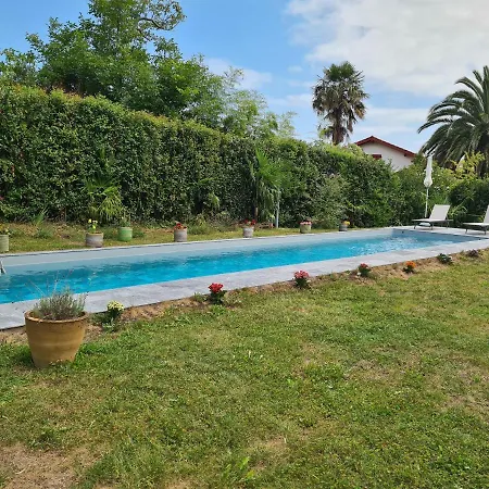 Avec Cuisine Et Grande Piscine Chauffee Appartement
